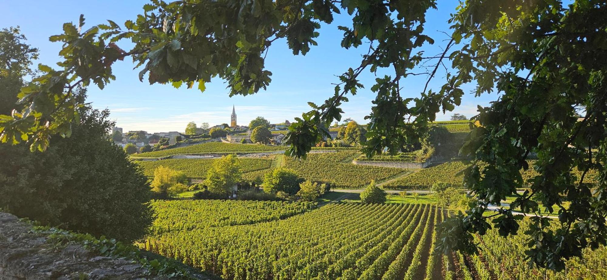 Gite Chateau Touzinat - Saint-Emilion Saint-Émilion Exterior foto